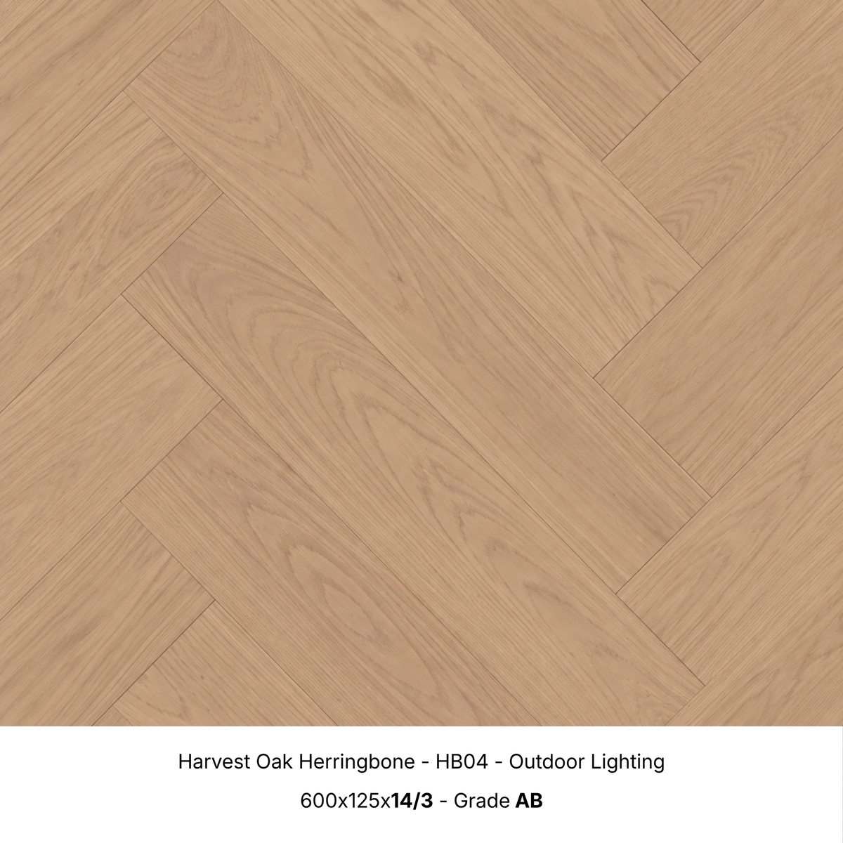 Harvest Oak engineered herringbone timber flooring under natural outdoor lighting