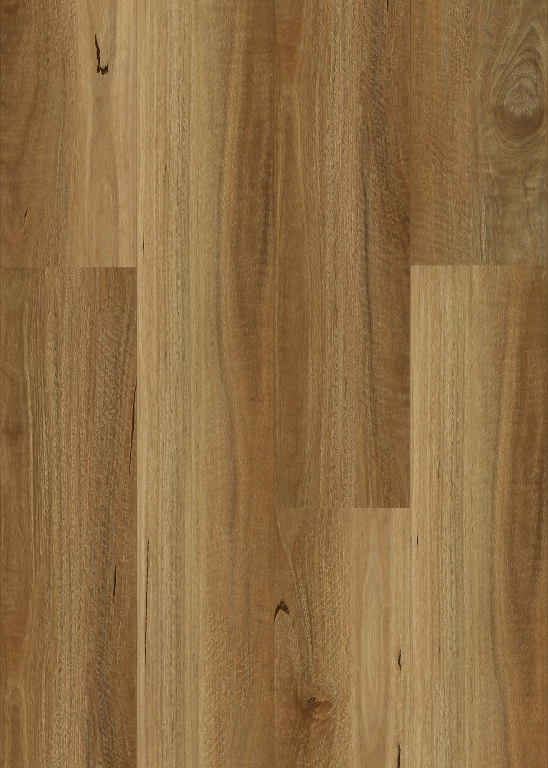 9mm NSW Spotted Gum Hybrid Flooring
