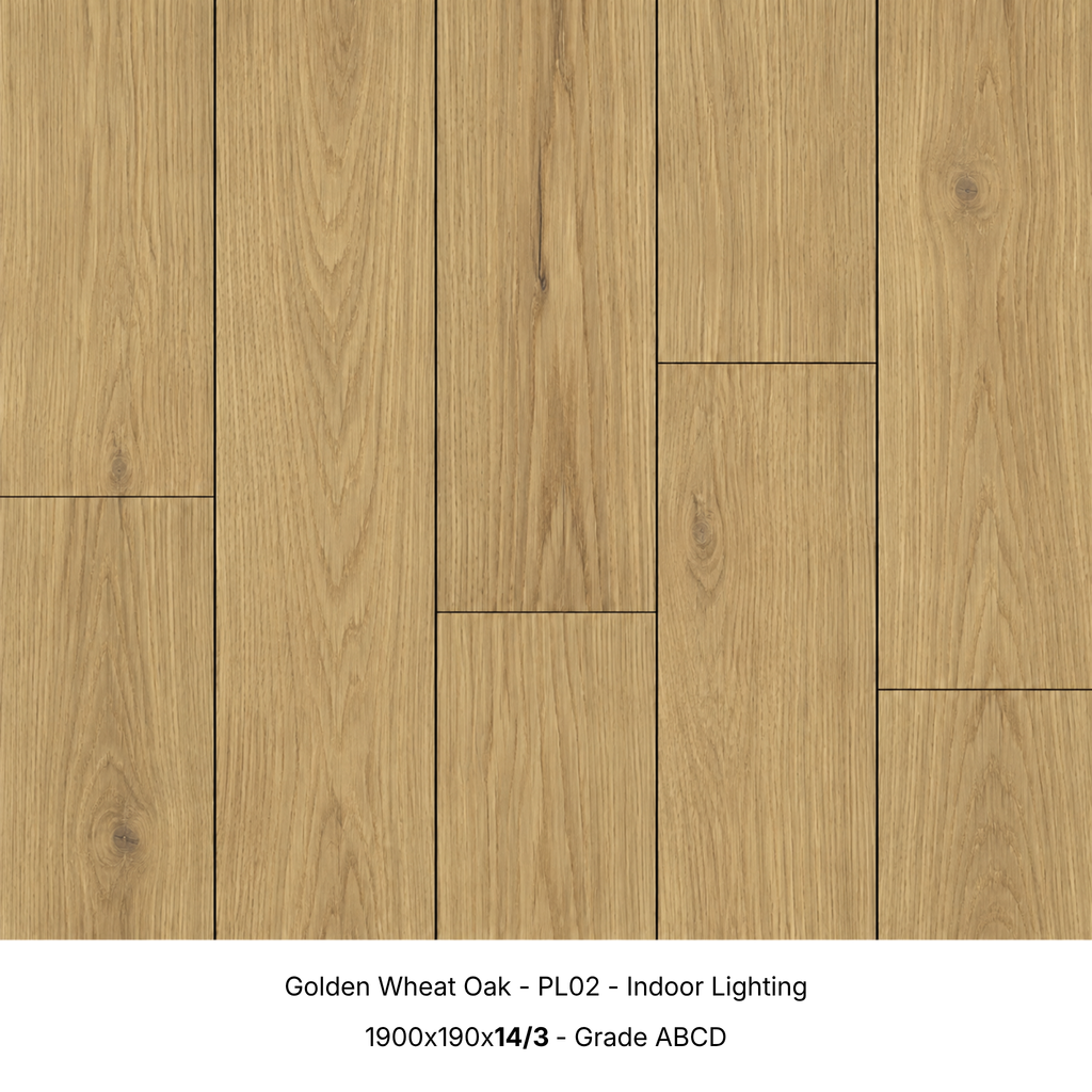 Golden Wheat Oak engineered timber flooring under indoor lighting