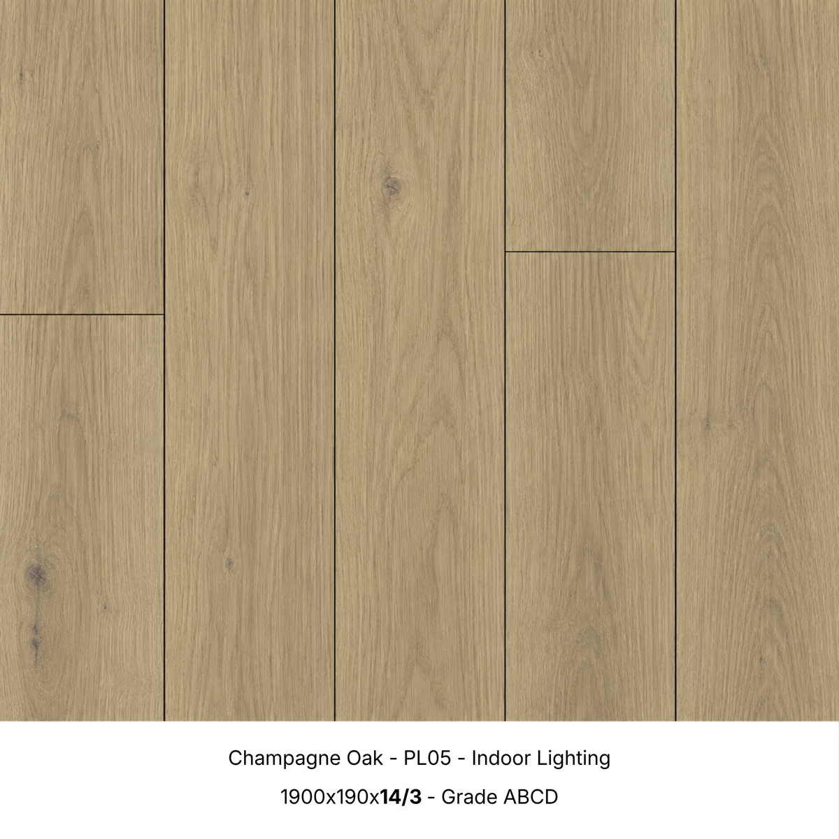 Champagne Oak engineered timber flooring under indoor lighting