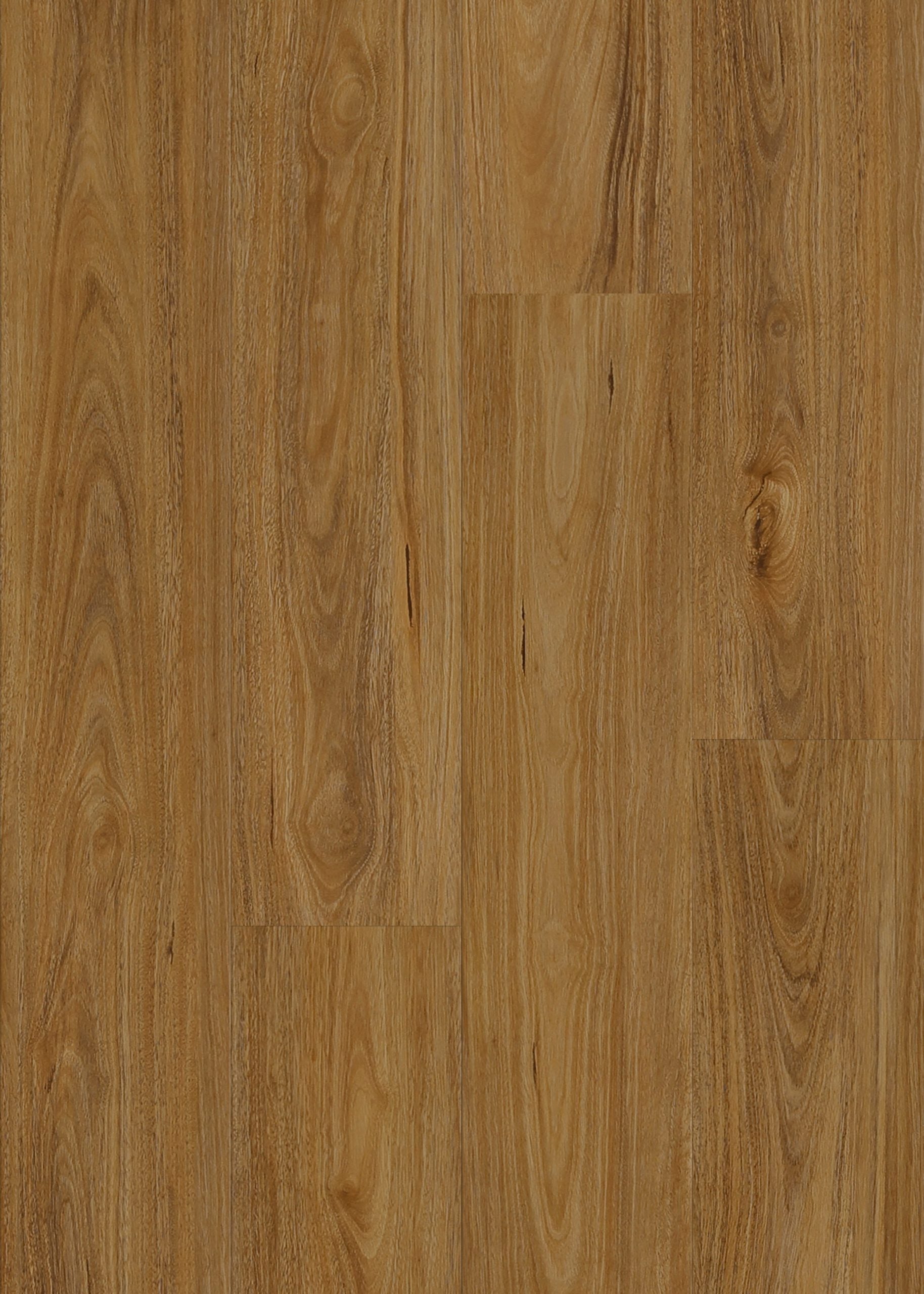 7mm QLD Spotted Gum Hybrid Flooring